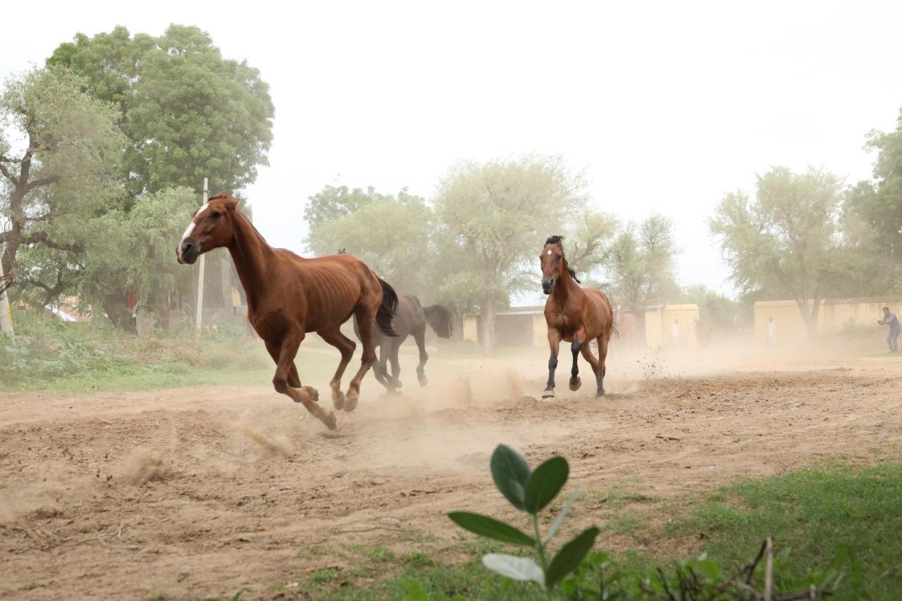 فندق روب نيواس كوتي Nawalgarh المظهر الخارجي الصورة